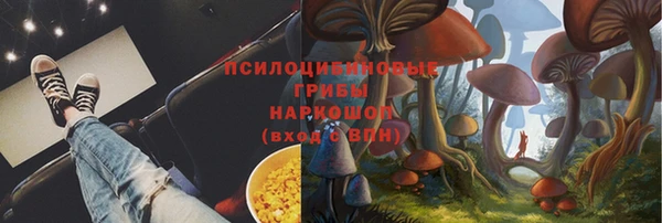 стафф Алзамай