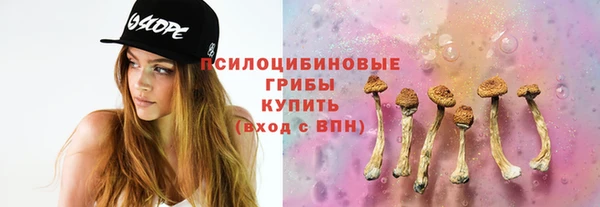 амф Алексеевка