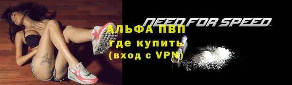 дурь Покачи