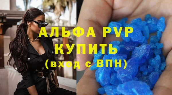 стафф Алзамай